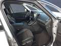 Renault Scenic IV 1,2 TCe BOSE Edition Grau - thumbnail 12