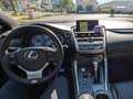 Lexus NX 300h F Sport Hybrid Aut. *VOLL* Vollleder, PANO, 197PS! Gümüş rengi - thumbnail 5