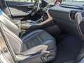 Lexus NX 300h F Sport Hybrid Aut. *VOLL* Vollleder, PANO, 197PS! Argent - thumbnail 6