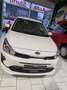 Kia Rio Vision Blanc - thumbnail 1