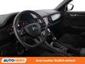 Skoda Kodiaq 2.0 BiTDI RS 4x4 Grau - thumbnail 11