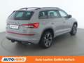 Skoda Kodiaq 2.0 BiTDI RS 4x4 Grau - thumbnail 6