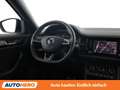 Skoda Kodiaq 2.0 BiTDI RS 4x4 Grau - thumbnail 13