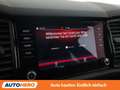 Skoda Kodiaq 2.0 BiTDI RS 4x4 Grau - thumbnail 26
