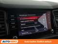 Skoda Kodiaq 2.0 BiTDI RS 4x4 Grau - thumbnail 23