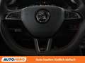 Skoda Kodiaq 2.0 BiTDI RS 4x4 Grau - thumbnail 19