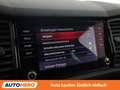 Skoda Kodiaq 2.0 BiTDI RS 4x4 Grau - thumbnail 25
