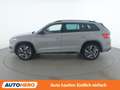 Skoda Kodiaq 2.0 BiTDI RS 4x4 Grau - thumbnail 3