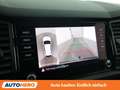 Skoda Kodiaq 2.0 BiTDI RS 4x4 Grau - thumbnail 22