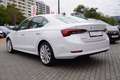 Skoda Octavia 2.0 TDI Style Kamera AHK LED Navi ACC Head Bianco - thumbnail 4