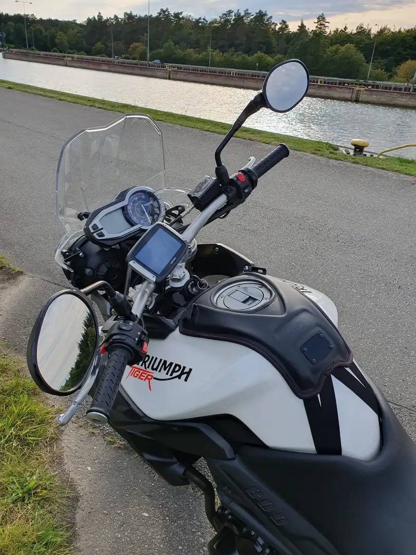 Triumph Tiger 800 Beyaz - 2