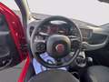 Fiat Panda 1.0 firefly hybrid Cross s&s 70cv 5p.ti Rood - thumbnail 10