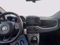 Fiat Panda 1.0 firefly hybrid Cross s&s 70cv 5p.ti Rood - thumbnail 14
