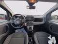 Fiat Panda 1.0 firefly hybrid Cross s&s 70cv 5p.ti Rood - thumbnail 12