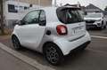 smart forTwo 90CH PRIME TWINAMIC Blanc - thumbnail 2