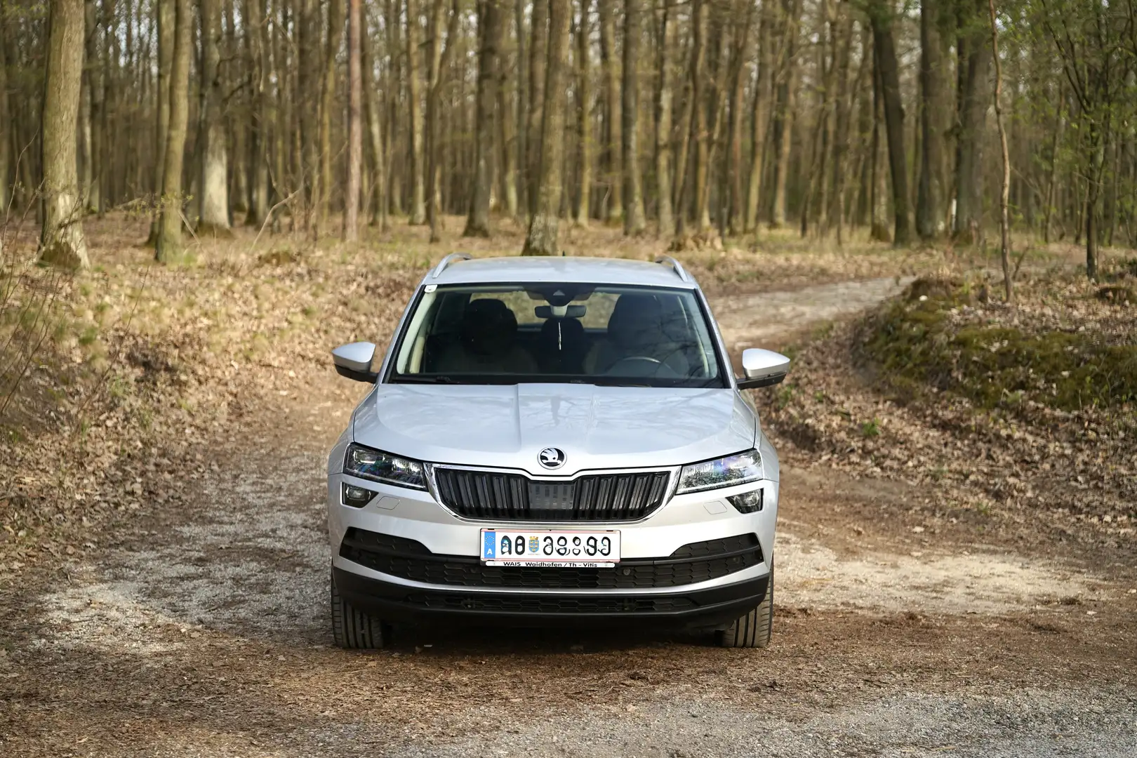 Skoda Karoq 1,6 TDI Style Limited Silber - 2