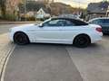 BMW 640 6 Cabrio  1.Hand,Voll,Voll Weiß - thumbnail 8