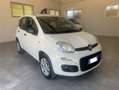 Fiat Panda Panda 0.9 t. natural power Easy 70cv Bianco - thumbnail 2