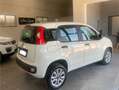 Fiat Panda Panda 0.9 t. natural power Easy 70cv Bianco - thumbnail 4