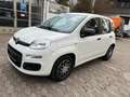 Fiat Panda 1.2 Lounge Weiß - thumbnail 2