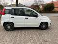 Fiat Panda 1.2 Lounge Weiß - thumbnail 5