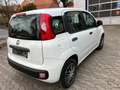 Fiat Panda 1.2 Lounge Weiß - thumbnail 3