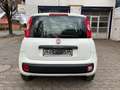 Fiat Panda 1.2 Lounge Weiß - thumbnail 8