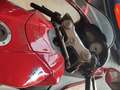 MV Agusta F4 1000 S 1+1 Czerwony - thumbnail 1