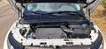 Land Rover Range Rover Evoque Range Rover Evoque 2.2L TD4 Dynamic 4x4 Aut. Dynamic Blanco - thumbnail 11
