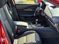 Mazda CX-30 Selection 2WD/NAVI/EURO 6 Rot - thumbnail 12