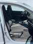 Nissan Qashqai Qashqai 1.3 mhev Business 2wd 158cv Aut. Grau - thumbnail 19