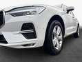 Volvo XC60 XC60 B4 B Geart. Momentum Pro LED WIN PK360 Weiß - thumbnail 6