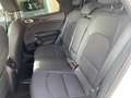 Kia XCeed 1.0 T-GDi GPL Style Bianco - thumbnail 5