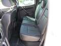 Ford Ranger Doppelkabine 4x4 Aut. Wildtrak AHK ACC LED Blanc - thumbnail 12