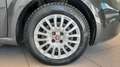 Fiat Punto 1.3 Multijet II 95 CV 5 porte Street Grigio - thumbnail 9
