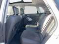 Audi Q3 45 TFSI e Matrix Panoramadach ACC Navi Weiß - thumbnail 13