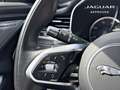 Jaguar XF D200 MHEV R-Dynamic SE BVA8 RWD Gris - thumbnail 16