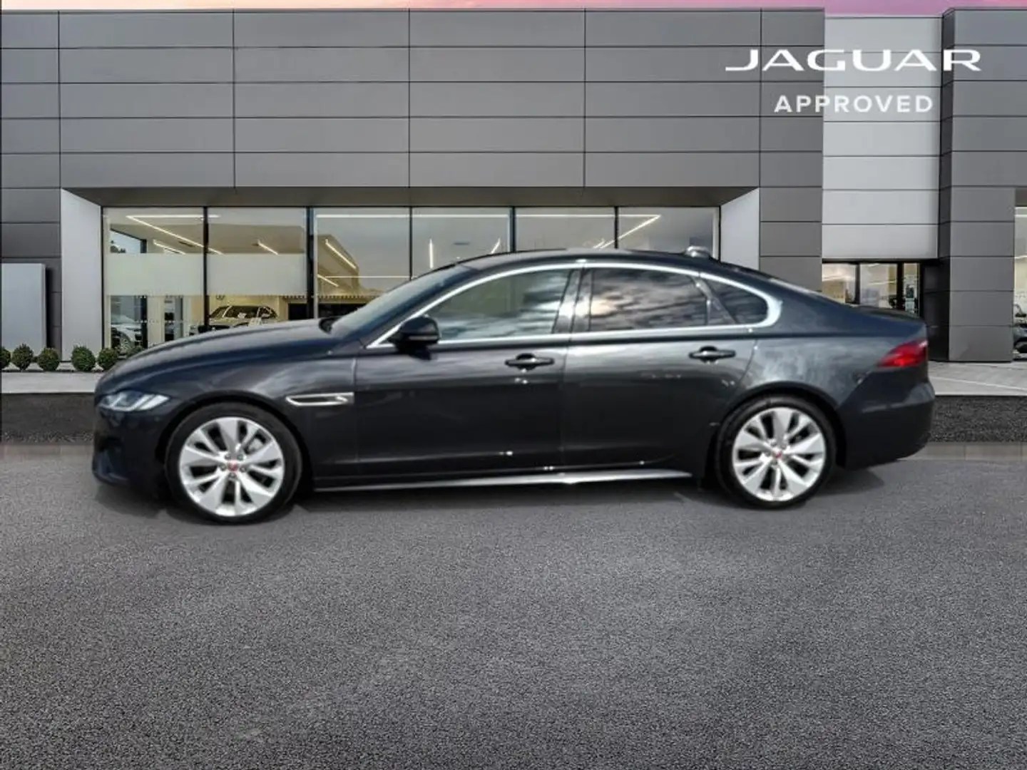Jaguar XF D200 MHEV R-Dynamic SE BVA8 RWD Gris - 2