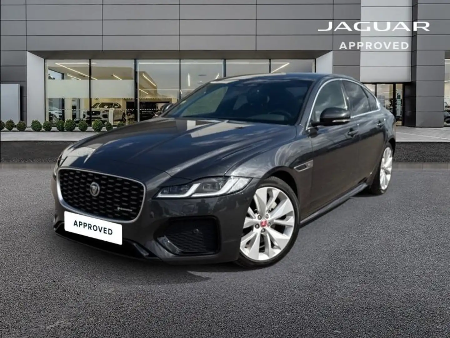 Jaguar XF D200 MHEV R-Dynamic SE BVA8 RWD Gris - 1