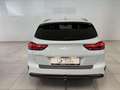 Kia Ceed SW / cee'd SW CAMERA - CARPLAY Blanc - thumbnail 7