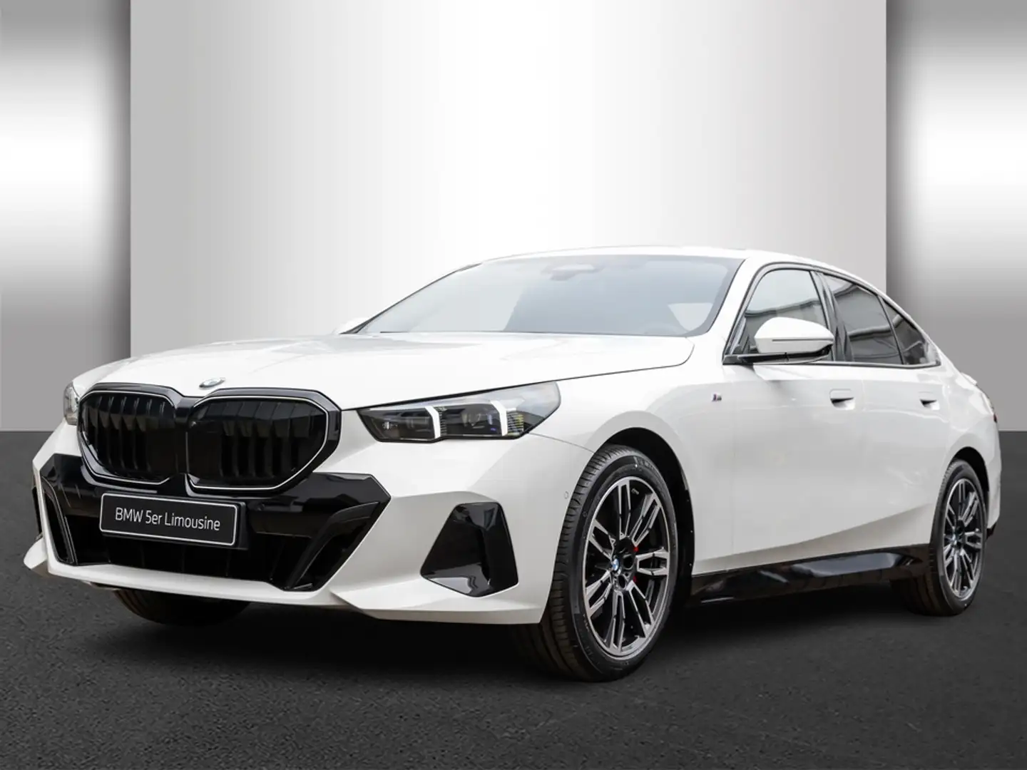 BMW 520 d M Sportpaket Komfortsitze Standhzg. AHK Alb - 2