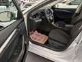 Skoda Octavia Combi 2,0TDI Style DSG *LED*NAVI*ACC*Head Up*Si... Silber - thumbnail 11