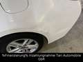 Toyota Corolla Touring Sports Hybrid Business Edition Wit - thumbnail 17