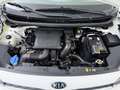 Kia Picanto 1.0 DPi ComfortLine Navigator Blanco - thumbnail 20