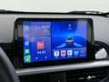 Kia Picanto 1.0 DPi ComfortLine Navigator Blanco - thumbnail 16