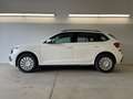 Skoda Kamiq Selection 115PS AHK+Kessy 1.0 TSI 85kW / 115PS Weiß - thumbnail 3