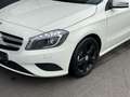 Mercedes-Benz A 180 CDI Urban BlueEfficiency | 1.Besitz | wenig-km | Weiß - thumbnail 4