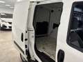 Fiat Doblo Doblò 1.6 MJT 120CV  PC-TN Cargo €10900+IVA Bianco - thumbnail 15