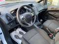 Ford B-Max 1.4 90ch ambiente Blanc - thumbnail 7