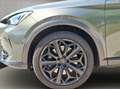 CUPRA Formentor 2.0 TSI VZ Tribe Edition Panorama Soun Grau - thumbnail 20